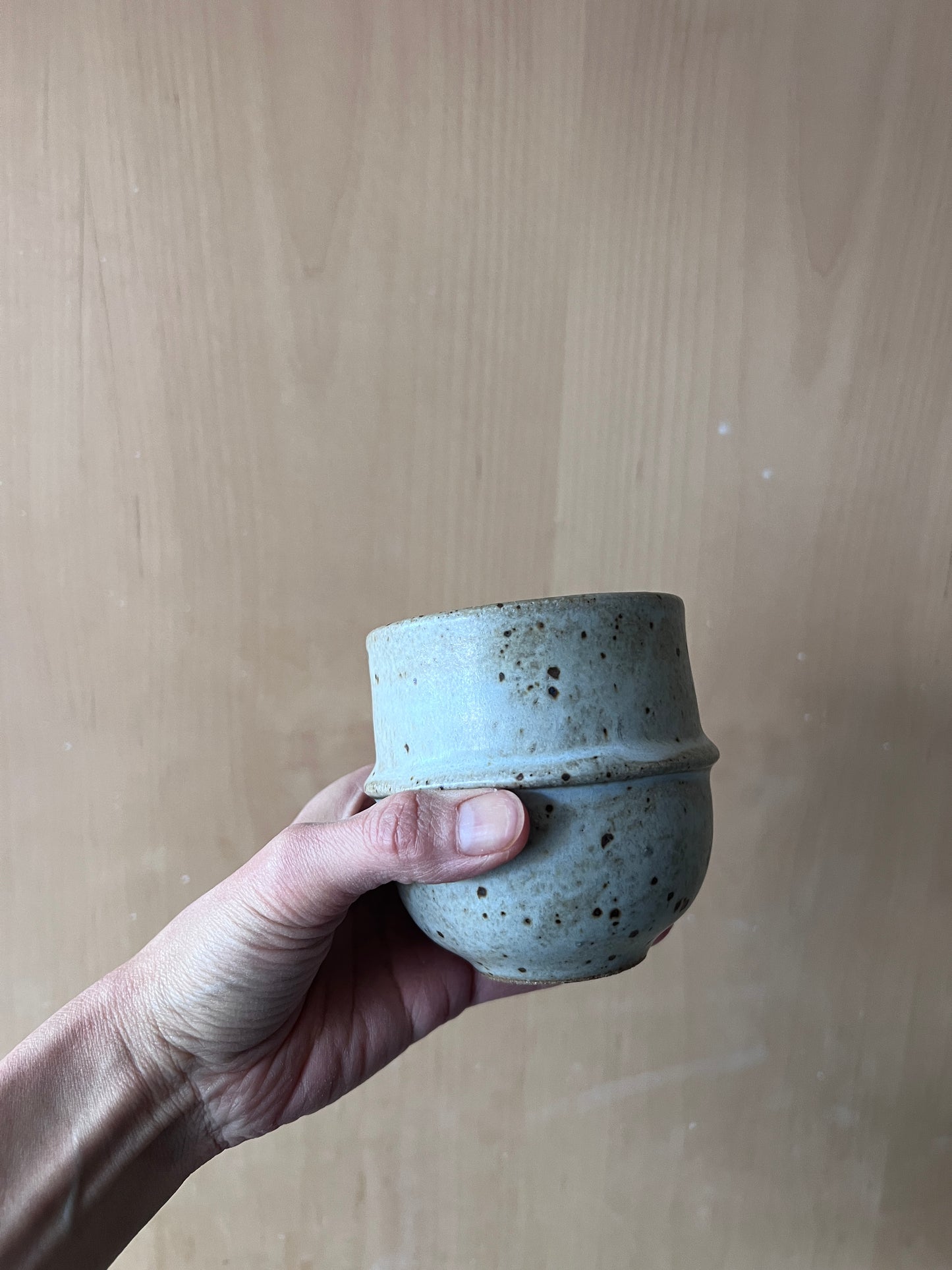 Saturn Cup